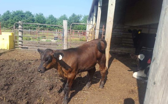 38829146_1220093621463687_3722299167322669056_o