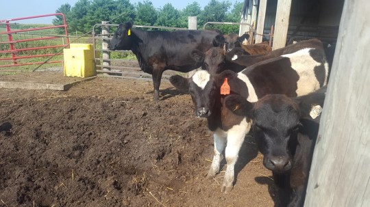 38856422_1220093834796999_3215821028752097280_o