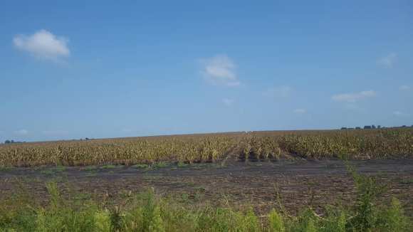 39441118_1229952853811097_2895297678265024512_o